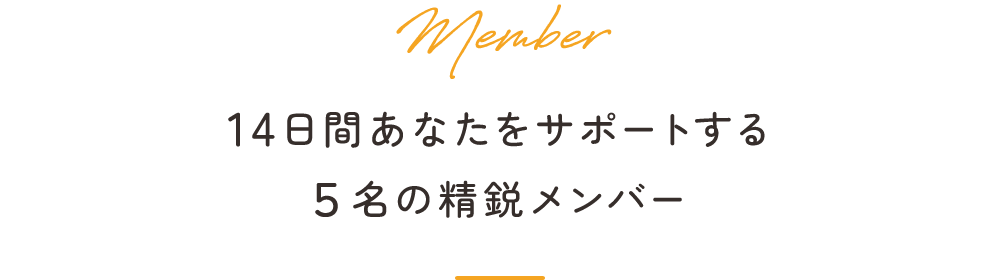 あなたをサポートする5人の精鋭メンバー